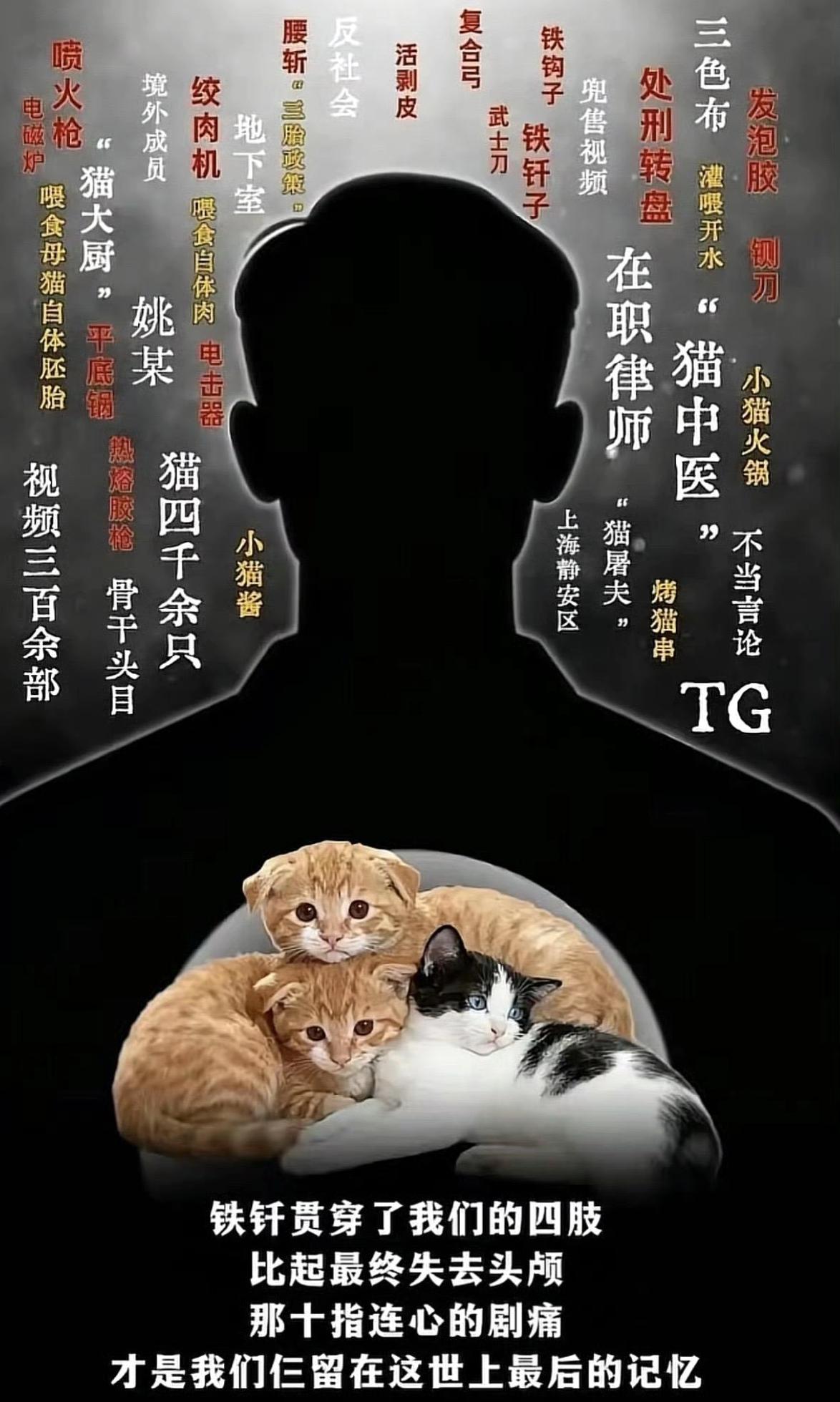 太残忍了
网传上海律师姚某
竟是双手沾满鲜血的虐猫恶魔。

2017年至今，他残