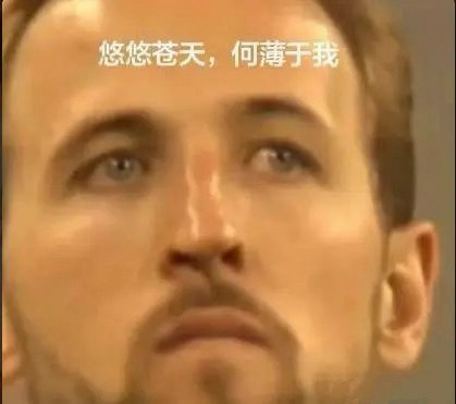 昨天说凯恩拿了德甲冠军对历史地位加成不大被骂了，本人做了下反思，确实不够客观。应