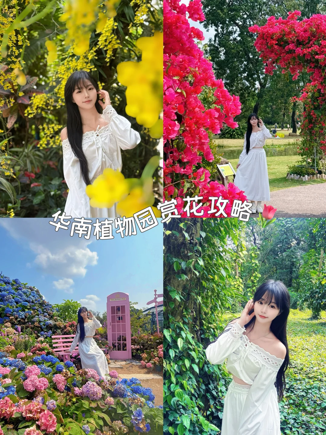 周末来广州华南植物园吸氧啦（附游玩攻略）