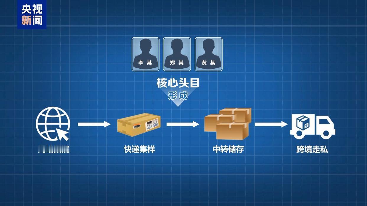 私运10万份孕妇血样，幕后黑手竟藏身母婴群？海关斩断跨境黑链背后

近日，一桩令