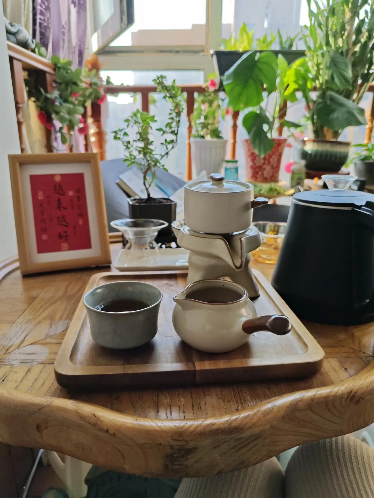 #你是否曾渴望成为一个爱种花的人?#以前年轻的时候，我可不喜欢种花了。现在人老了