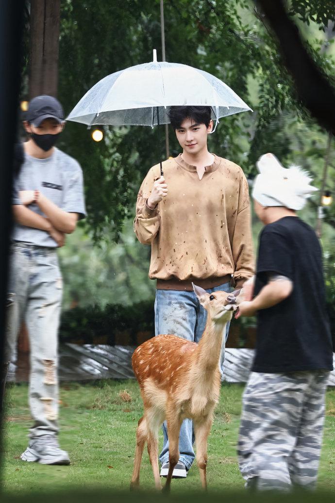 杨洋和小鹿顺色了哈哈哈哈，好可爱的小鹿宝宝~ ​​​