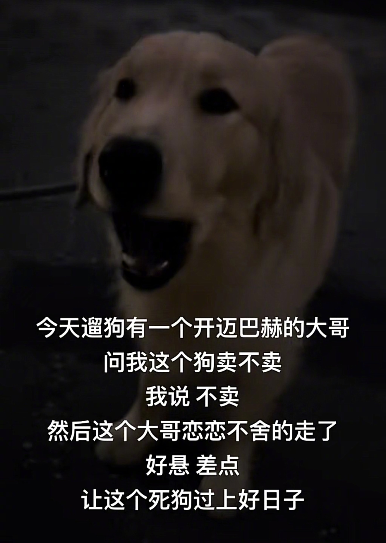 以为是舍不得，原来是看不得[doge]狗富贵，人不让[开学季] 