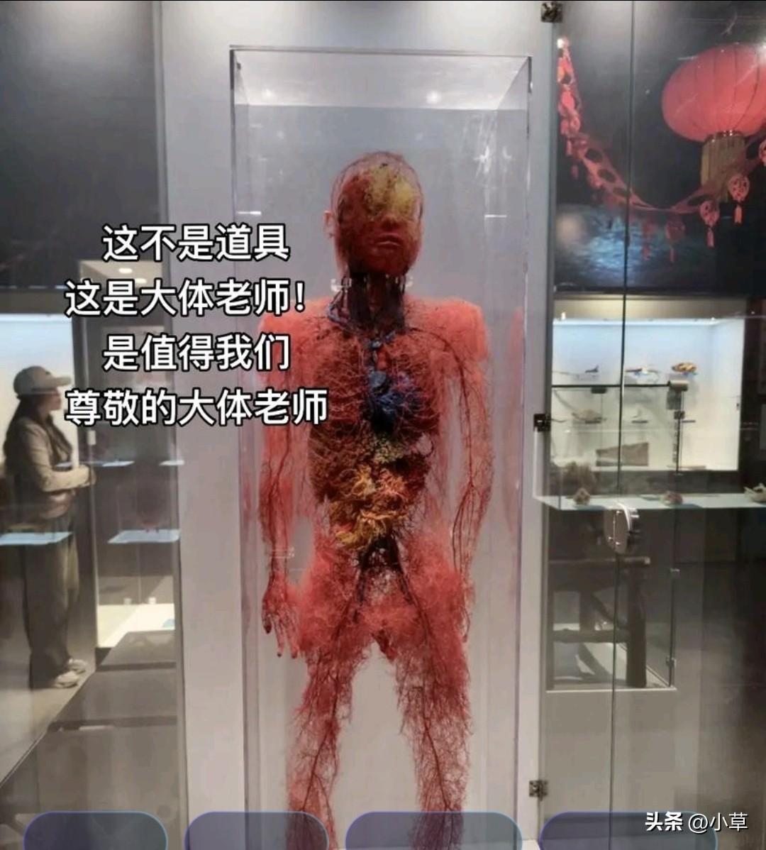 最近，我看到了关于“大体老师”的视频，内心十分震撼。
这些“大体老师”的遗体大多