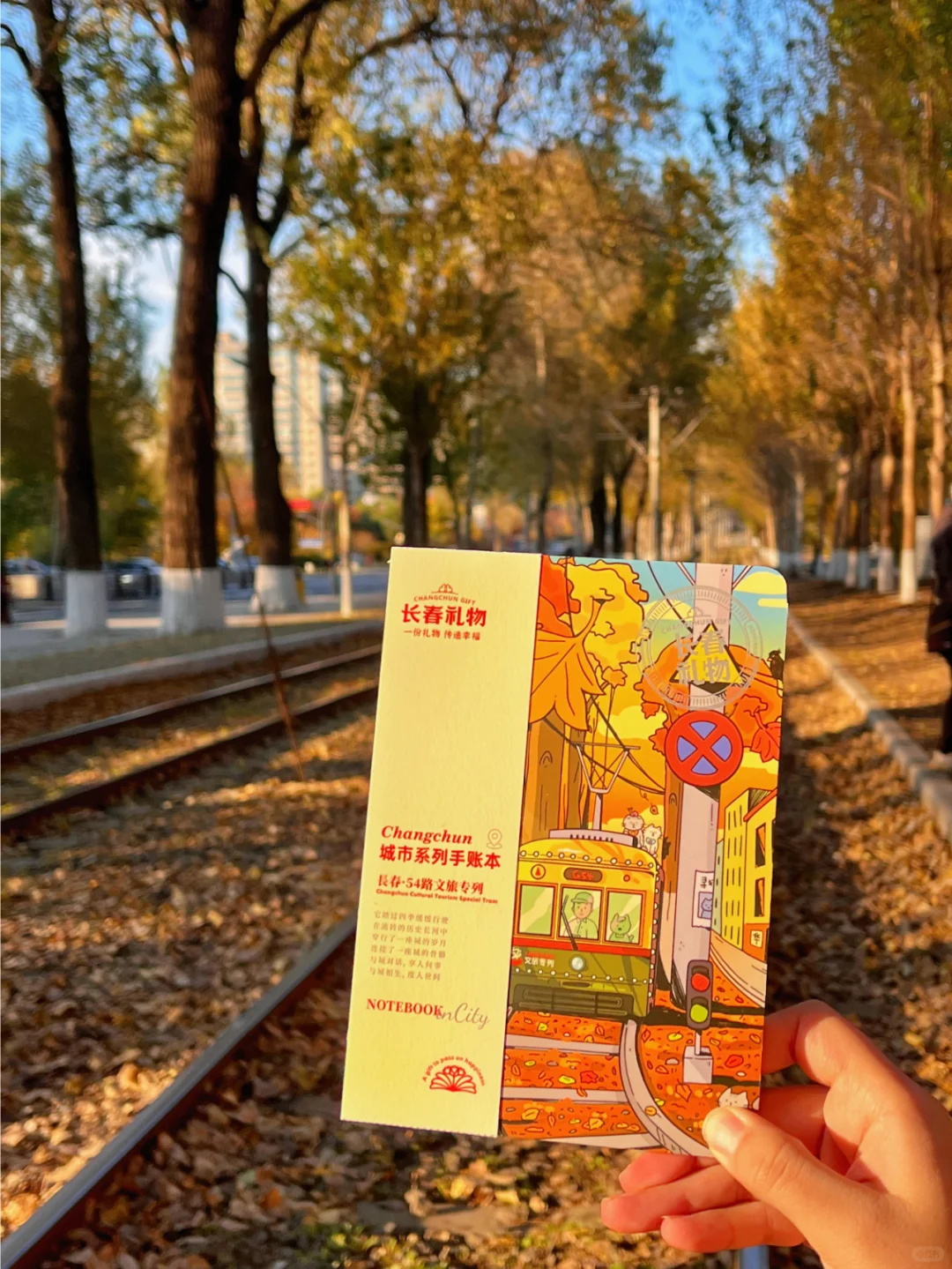 值得你寻觅，阳光明媚的秋