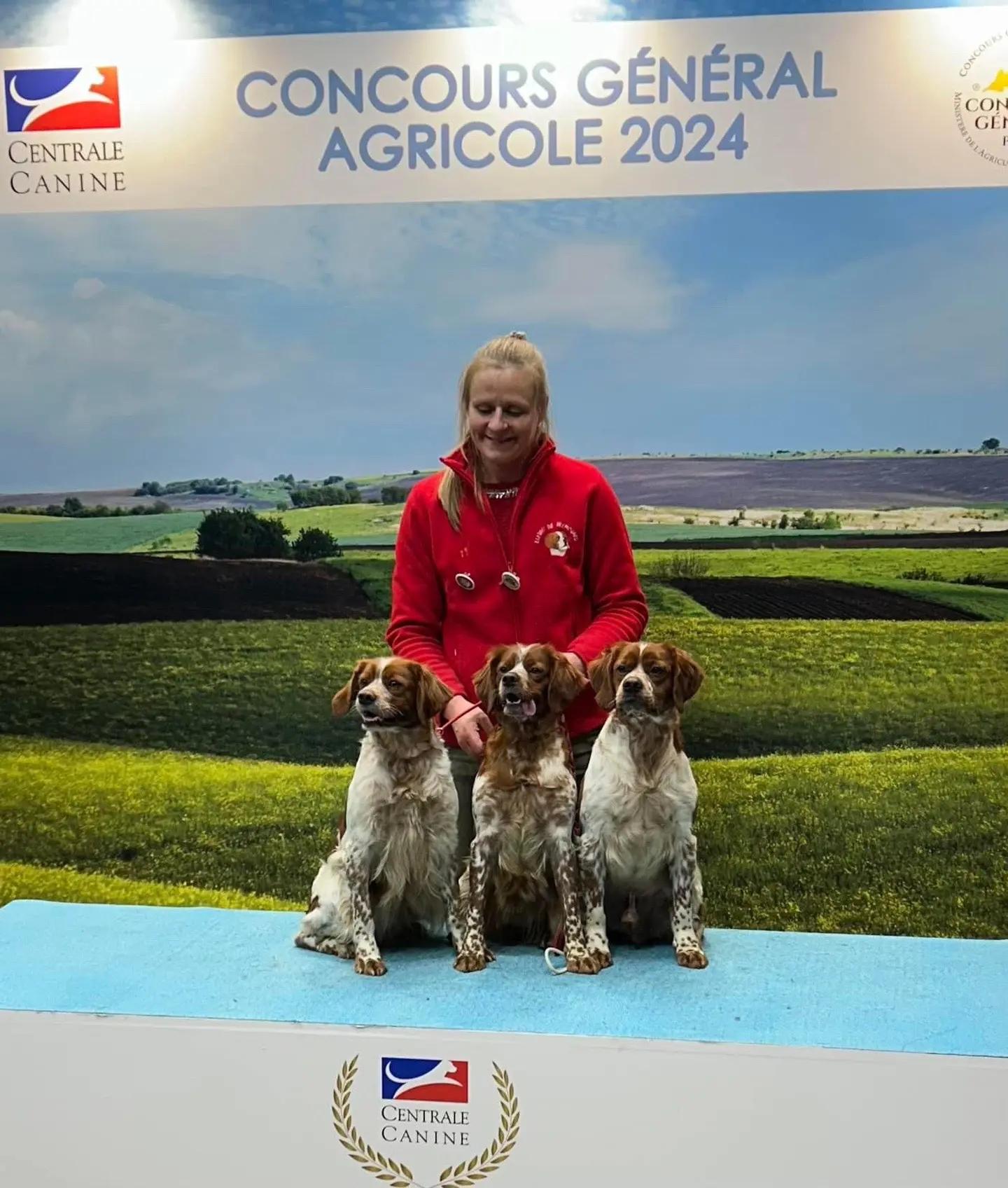 2024法国犬展。epagnuelBreton