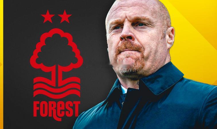 据《天空体育》报道，诺丁汉森林解雇主帅戴奇，当初聘任他作为球队主帅，目标不仅是为