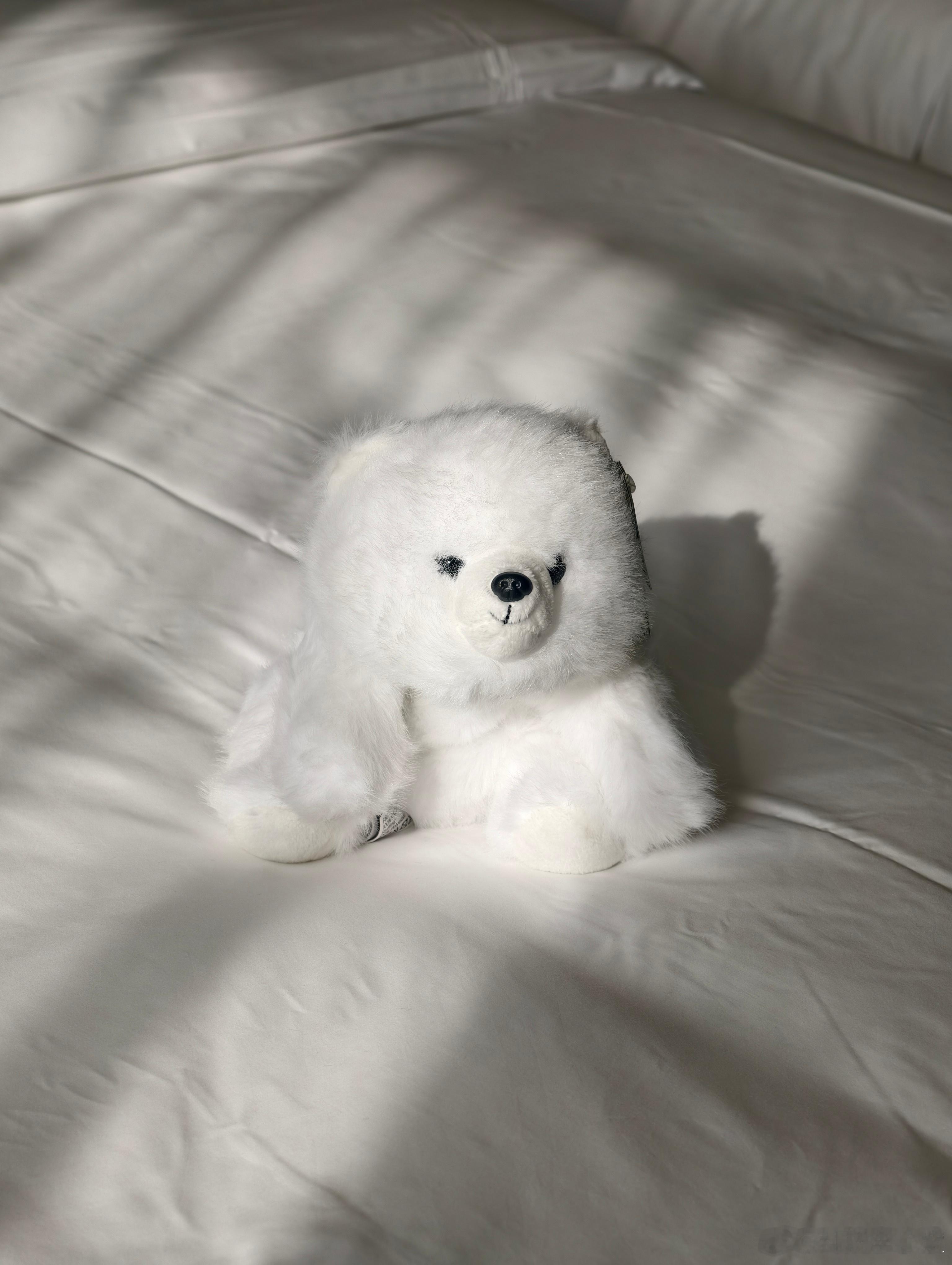 来苏州啦！现在怎么才下午？已经开始期待今天晚上的「敢梦敢为」追觅之夜了好喜欢追觅