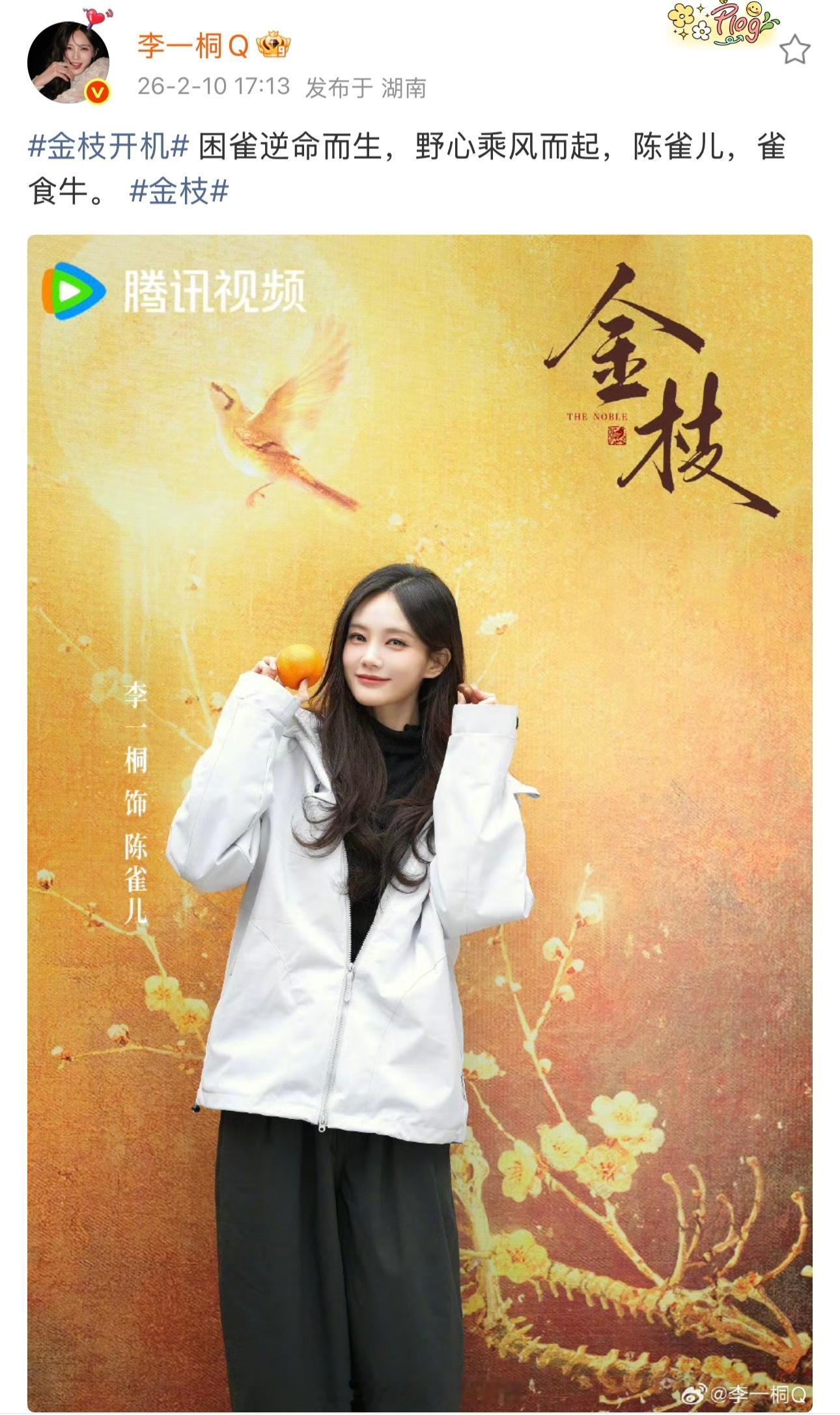 李一桐金枝开机文案，陈雀儿，雀食牛