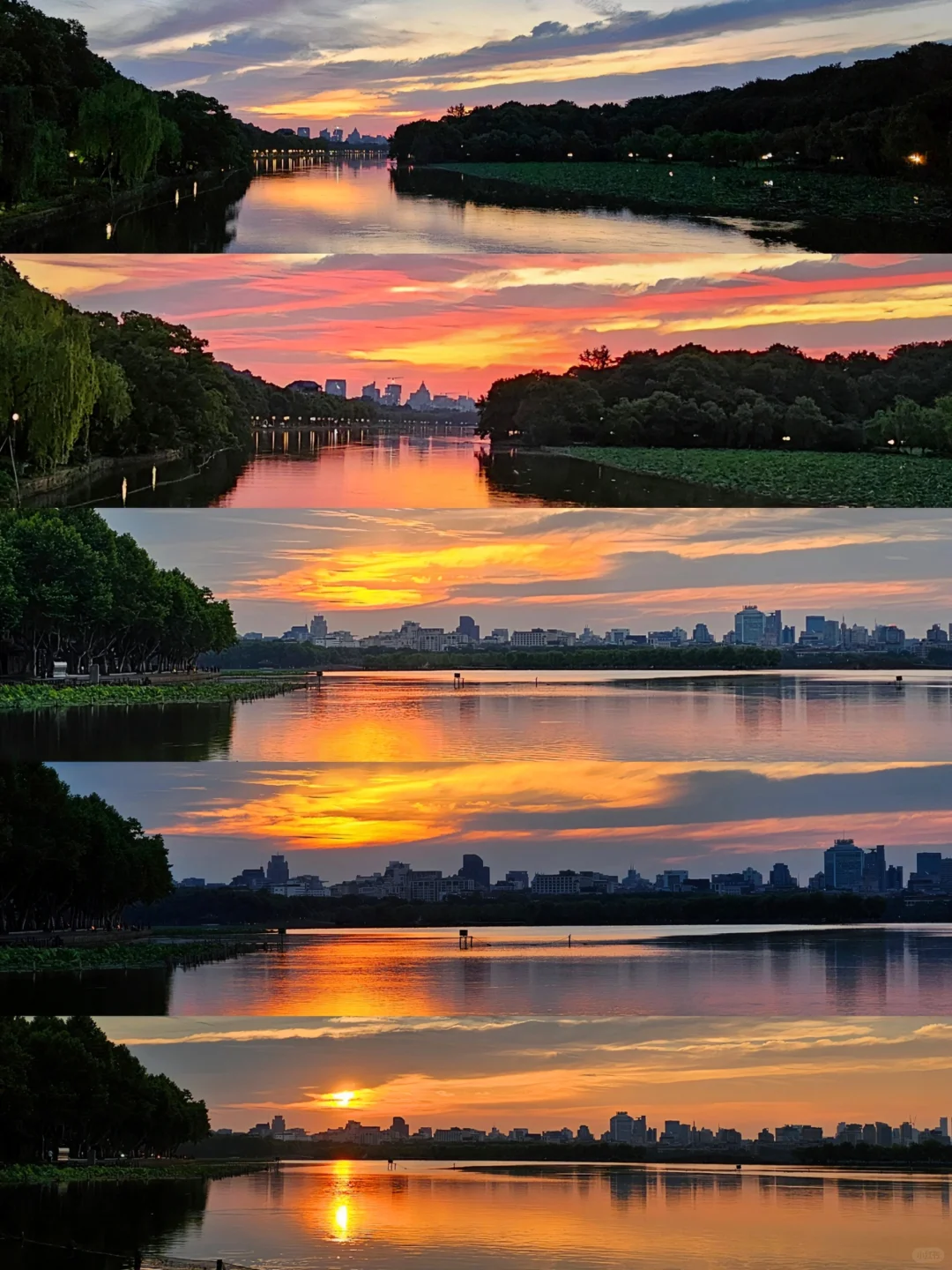 0529西湖朝霞 见者上岸🌅(休假一周)