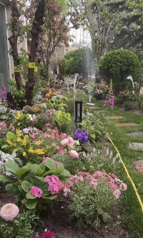 当付出成为一种习惯，索取变得理所当然，张兰做的已经比很多母亲出色了。
马筱梅住不