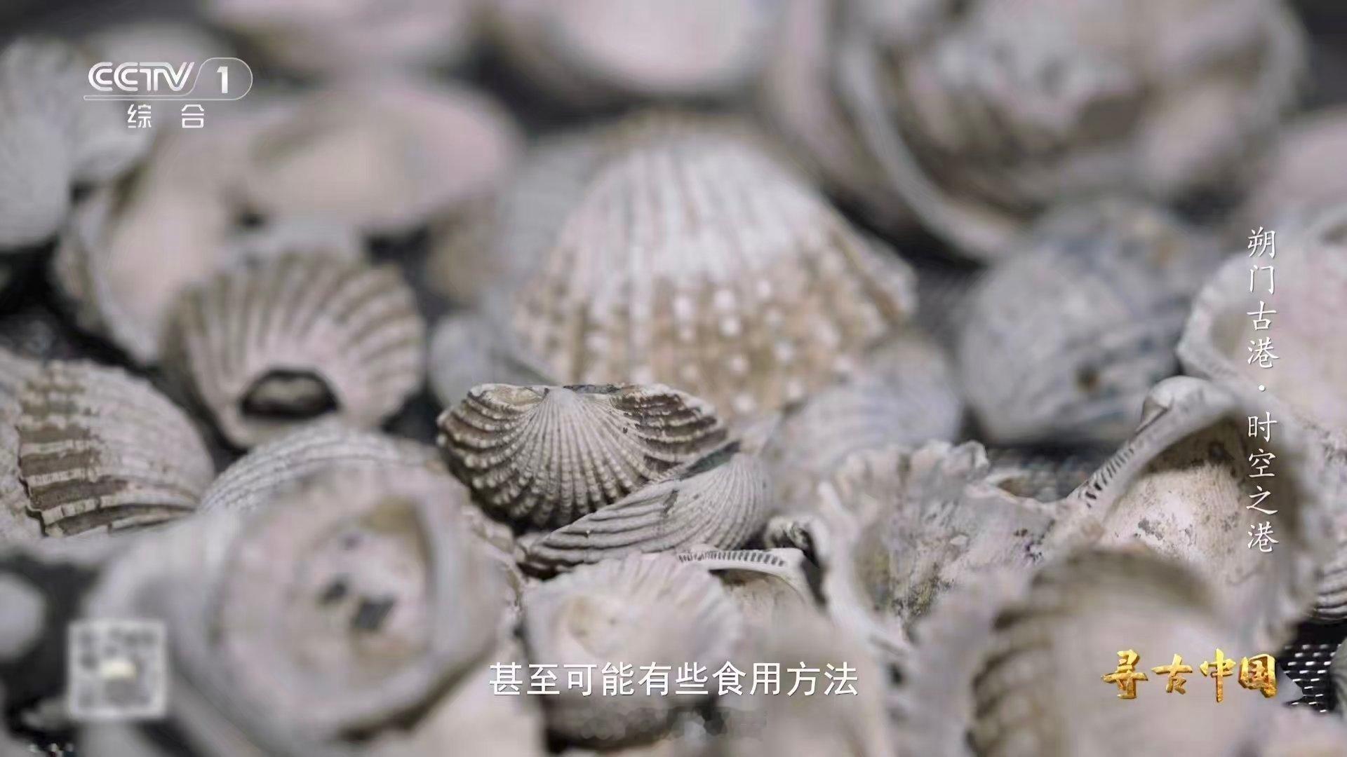 温州一千多年前就流行嗦螺了古人也吃血蛤 谁能想到，宋代的温州夜市已经这么接地气？