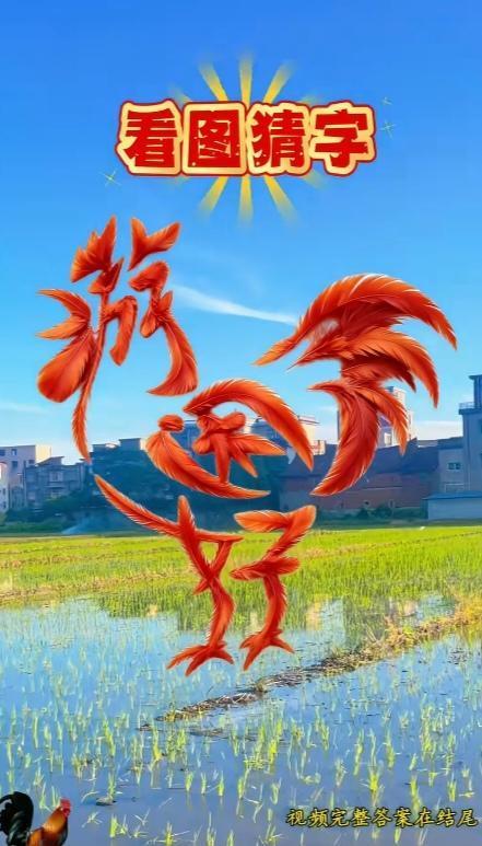图中画面是公鸡 ，鸡身隐藏四个字。你能看出来啥四字。