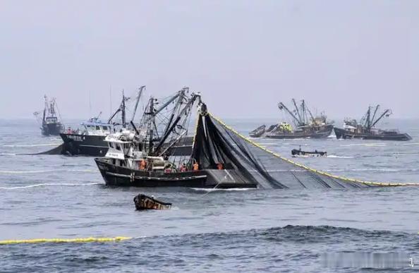 【财富晚茶】午盘透析(11.14)：北证涨幅0.20%：渔业反弹消费回调导语：作