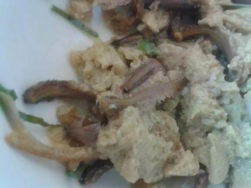 作为一个土生土长的西北人，说自己是吃洋芋长大的一点都不夸张，对洋芋那绝对有发言权
