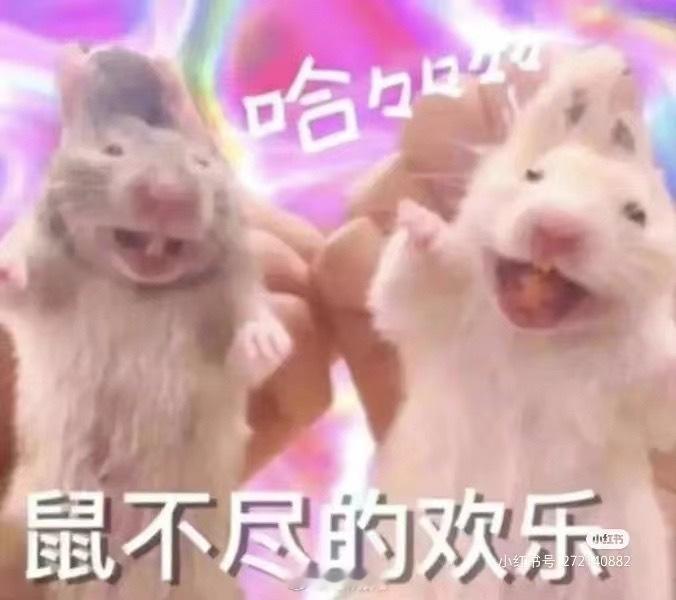 深夜迷思：阴阳师玩家的小号是不是应该叫“小耗” ​​​