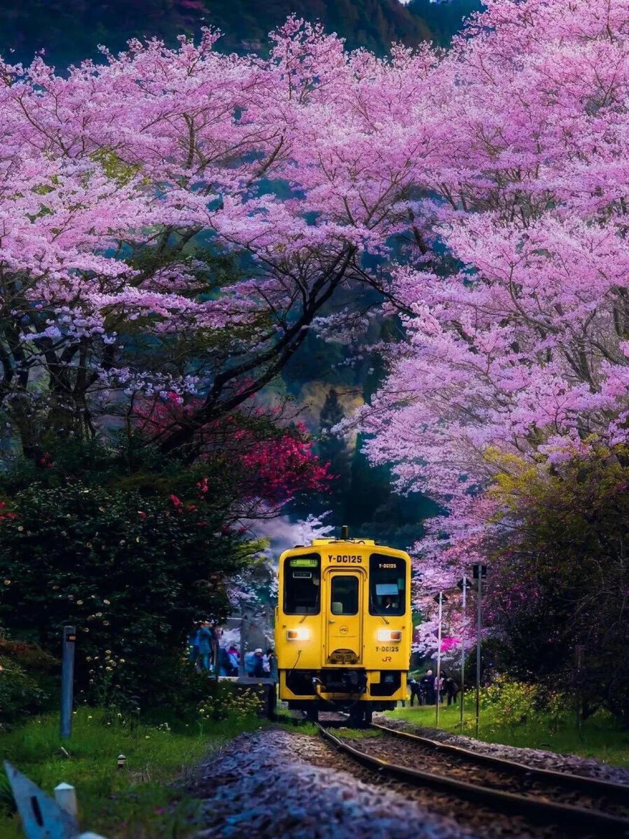 上联：月落一江水。如何对下联月落一江水，日出万山红
