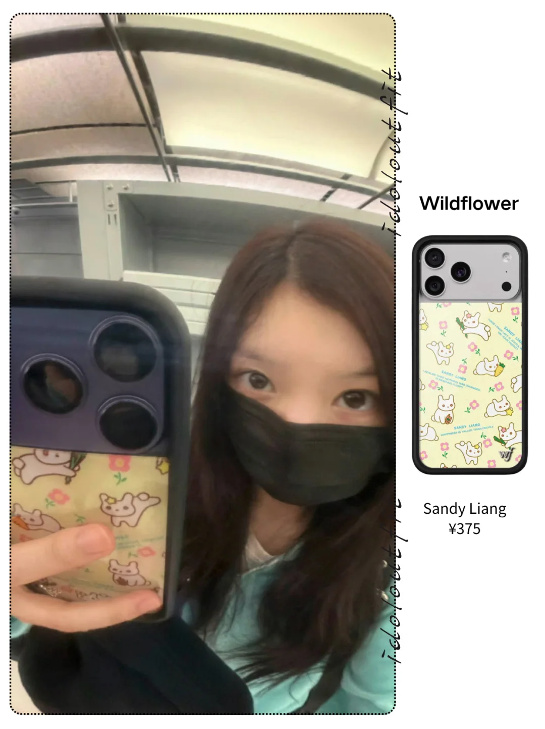 一只萌萌仓鼠为您带来双彩虹好运🐹