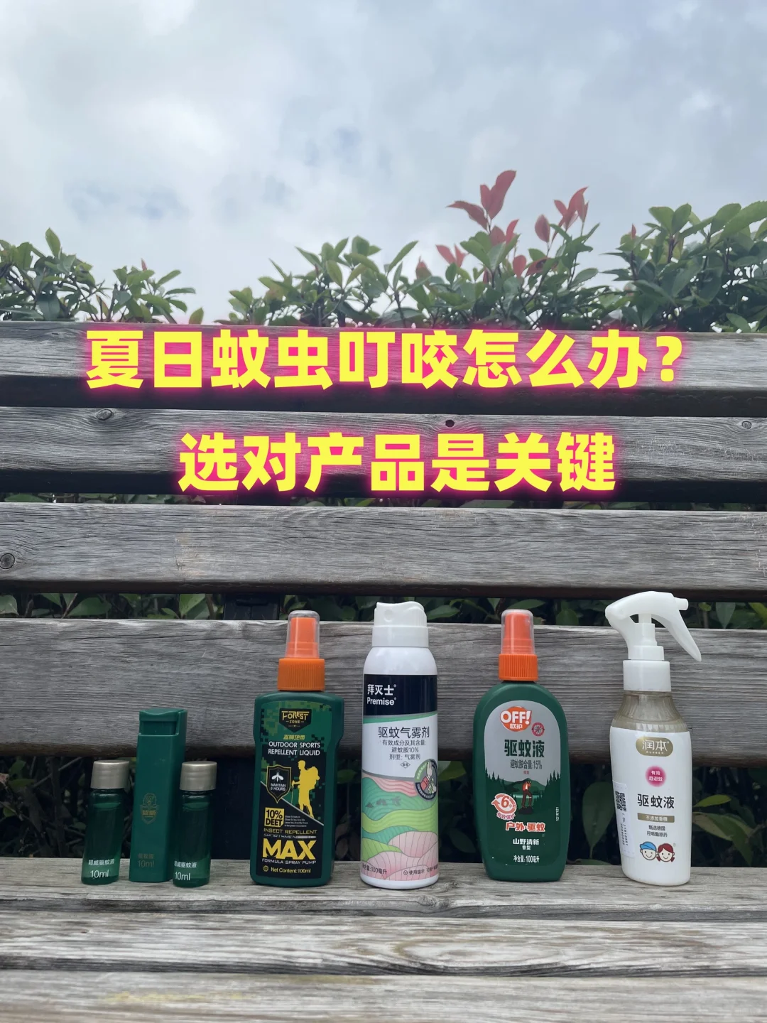 夏日蚊虫叮咬怎么办？选对产品是关键