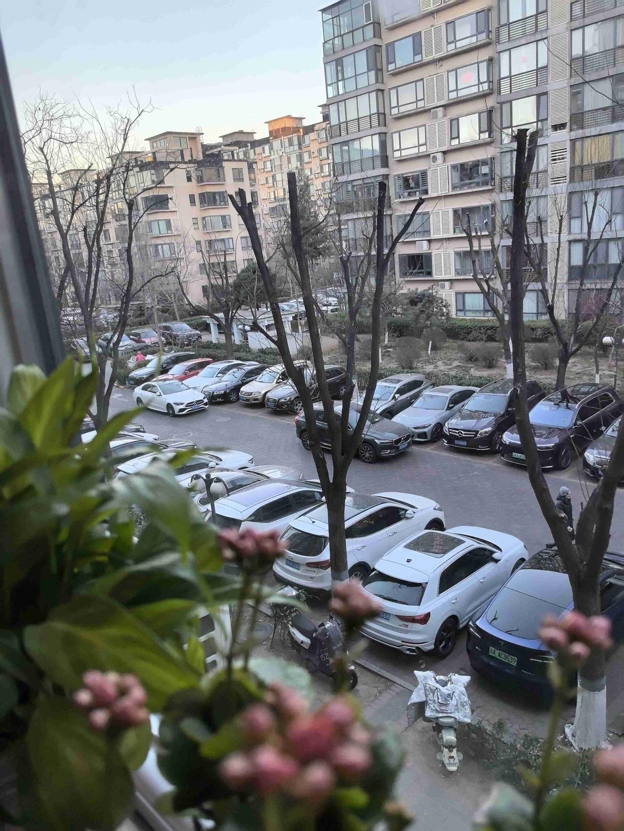 我的今日状态：😁轻松愉快
我这里的天气：☀️晴天