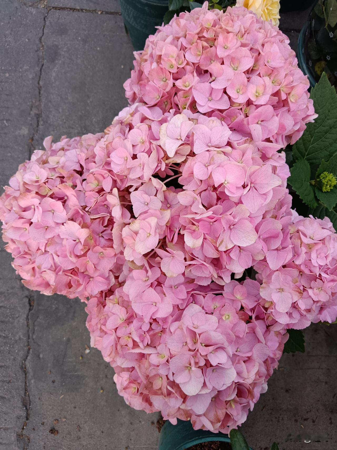 人不自信的最根本原因是什么？90%的人都栽在了这一点
 
你是否也有过这样的时刻