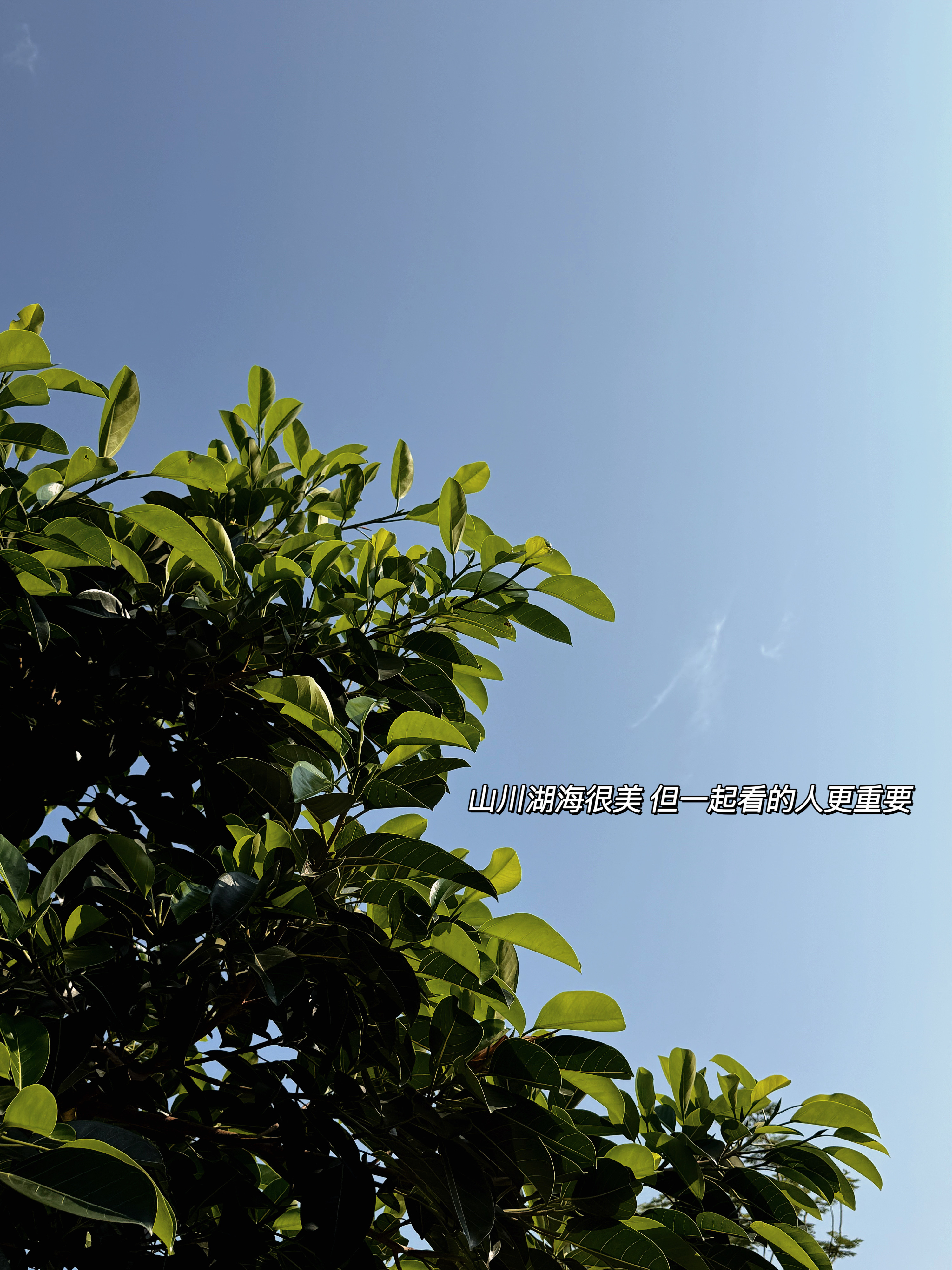 ❥plog :)本人七夕最大的愿望▫️日子长久长久 幸福小有小有▫️生活应该被喜