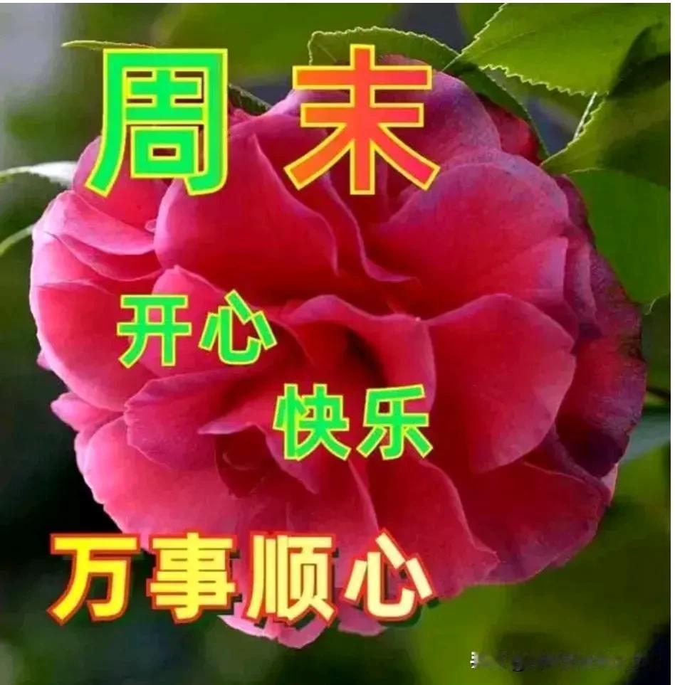 下午好友！周末愉快！
满满牵挂！真诚祝福！
冬日安康！幸福吉祥！
万事顺心！好运