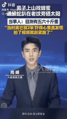 广西防城港，一男子爬山找蜂蜜，经过一座老坟时，他发现一条五六十斤的大蟒蛇正在坟前