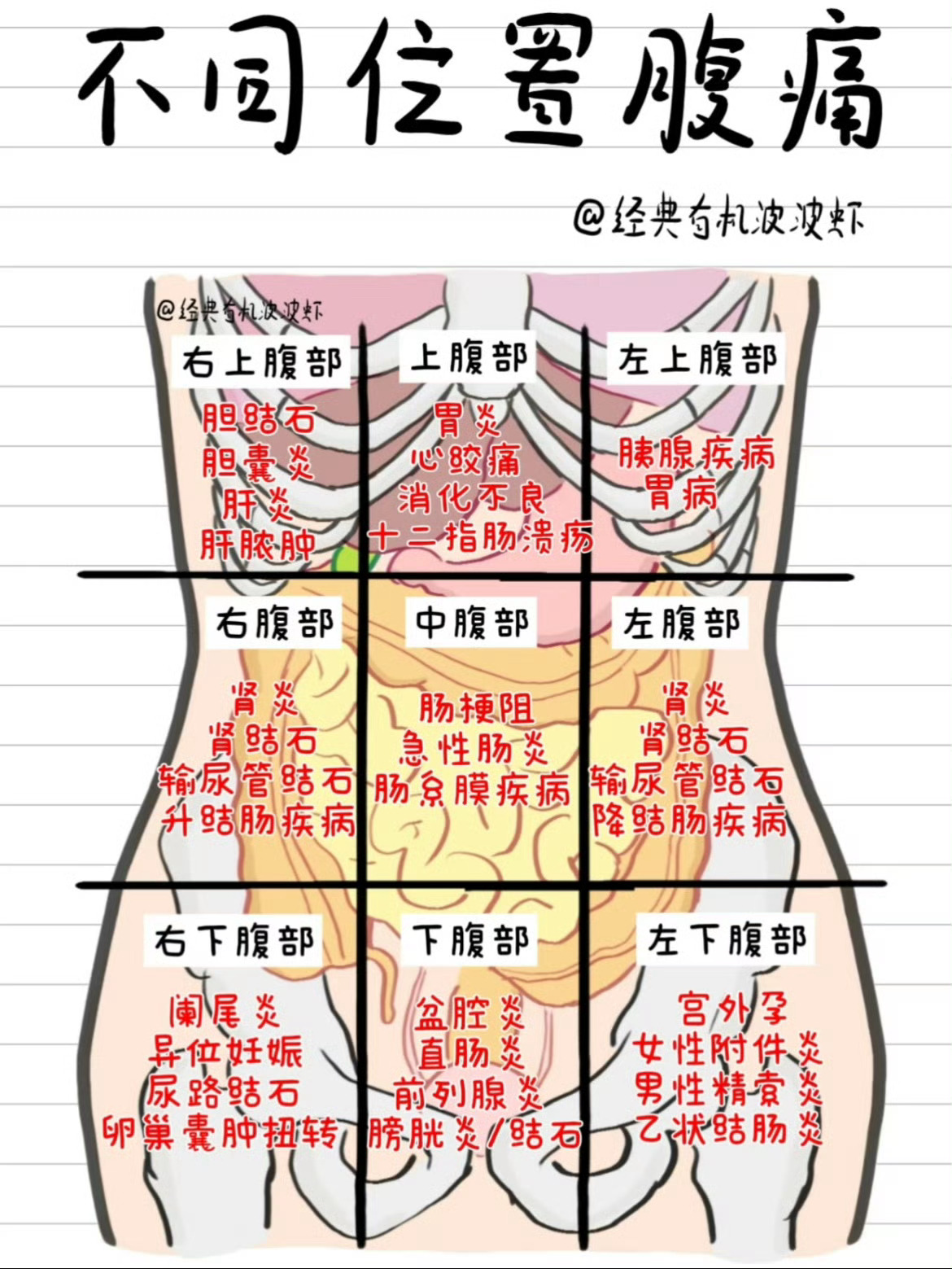 不同位置的腹痛，可能有哪些隐患？ 