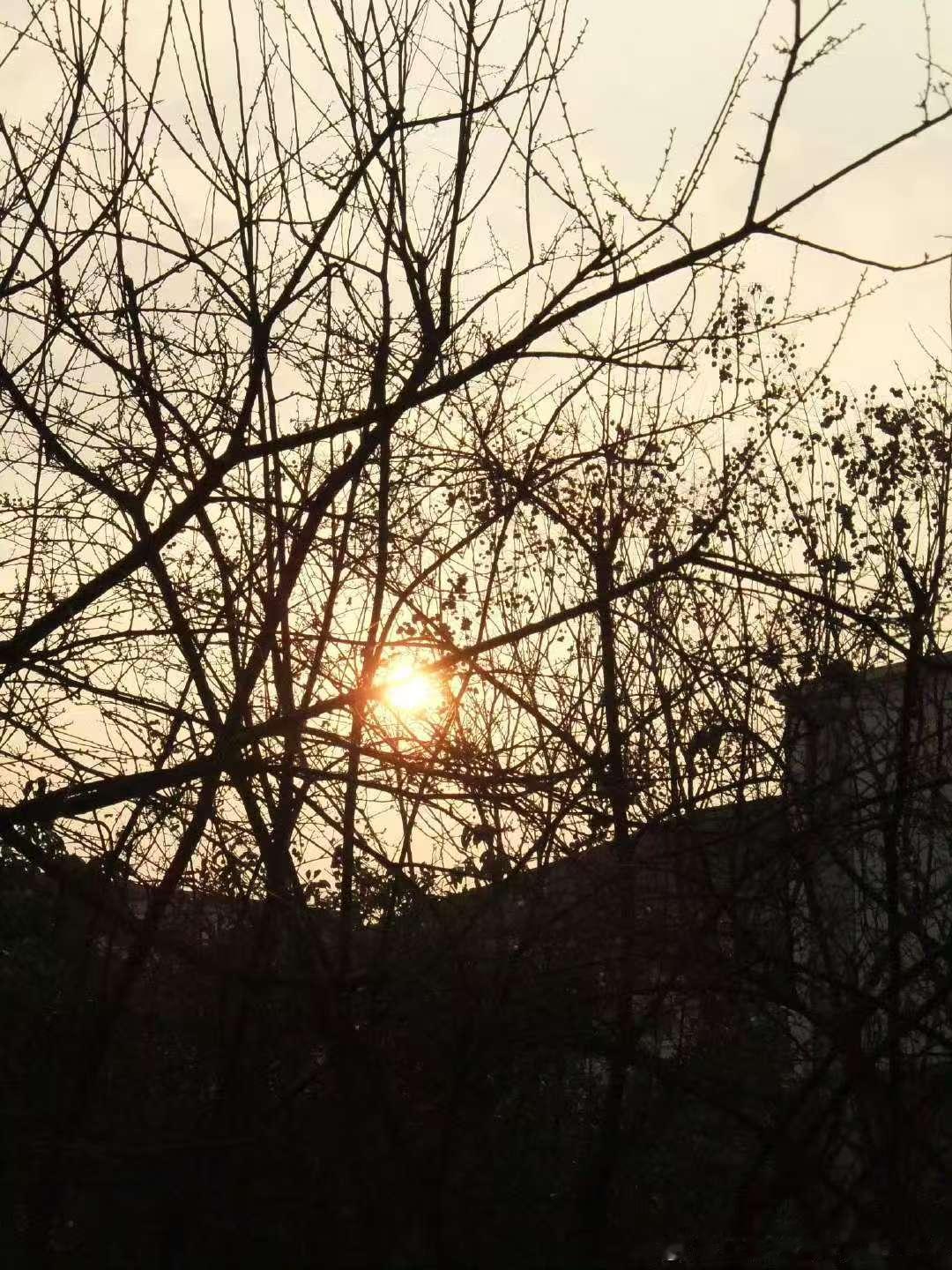 穆祉丞假期离我而去 穆祉丞说假期离我而去 咋文案这么悲伤呢哈哈哈哈哈 