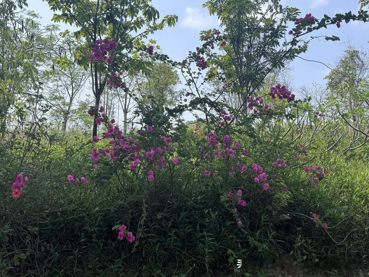 @豆包 帮我点评