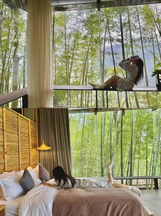 青城山…想续住一万次的避世愈所