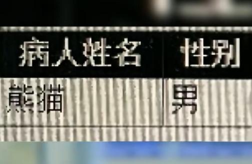 熊猫七七拍CT，真的又好笑又心疼！
病历单上 “病人姓名：熊猫，性别：男” 的字