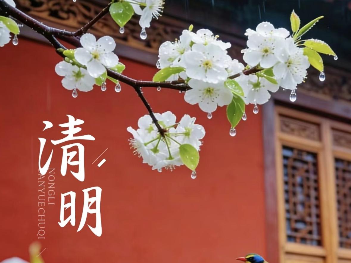 2026年的清明节确实有些特别，老辈人常说“60年难遇”，民间还流传着“三人不去