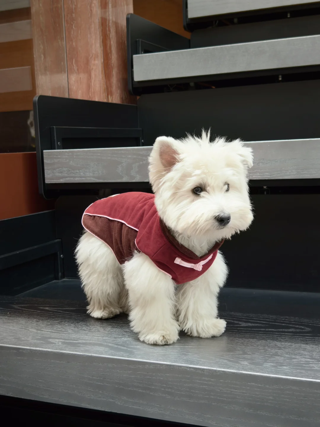 ❤️冬日安可拉红ootd❤️