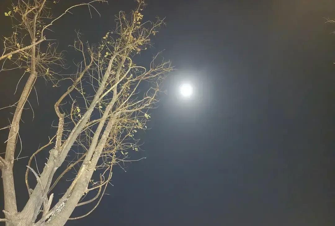 王老师被记不在岗当场开骂年级主任。
上周三上午巡查主任转了一圈没瞧见他就在通报里