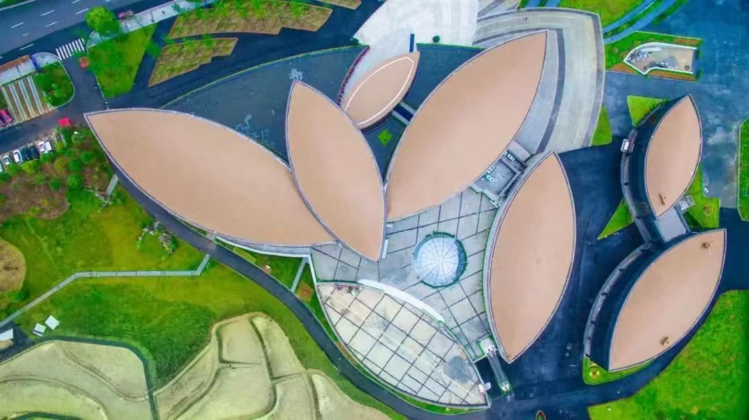 踏入隆平水稻博物馆，瞬间沉浸式闯进金色稻浪！古老稻种、杂交水稻培育图谱，还有袁隆