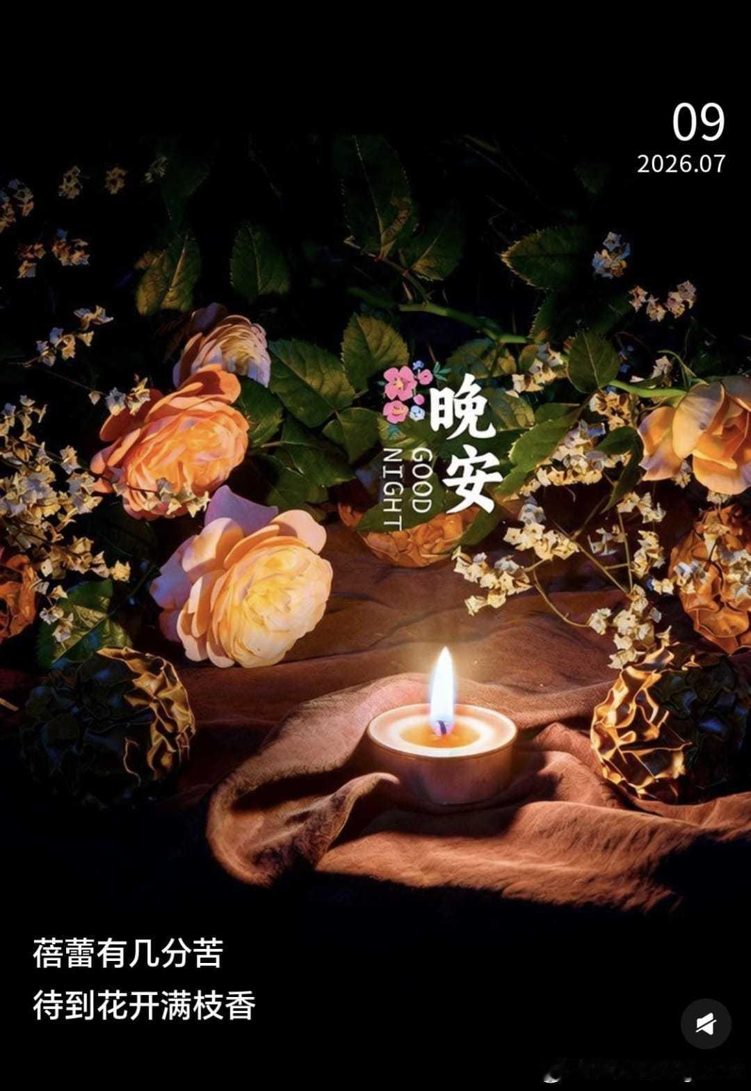 晚安 好夢💤 