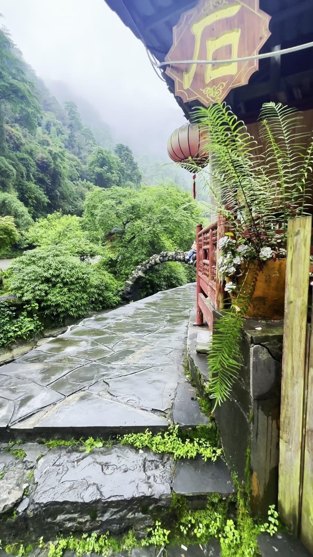 🌿湘西的山野河流依旧如旧，一曲《高山流水猎人魂》唱尽英雄儿女的侠骨柔情。满目皆