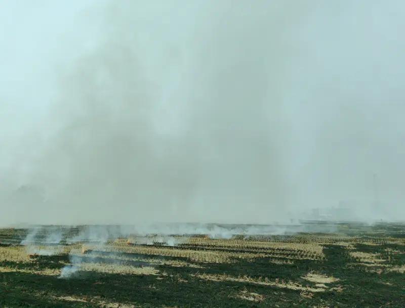 焚烧秸秆污染环境你认同吗?不认同。焚烧秸秆是遵循自然规律，这点所谓的污染，连森林