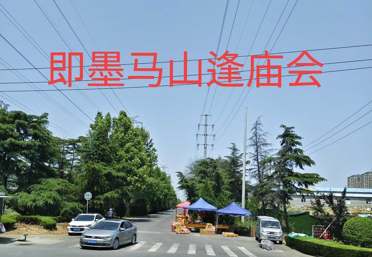 明天是农历三月二十八日，即墨马山传统的天齐庙会，庆贺泰山神东岳大帝诞辰！庙会地点