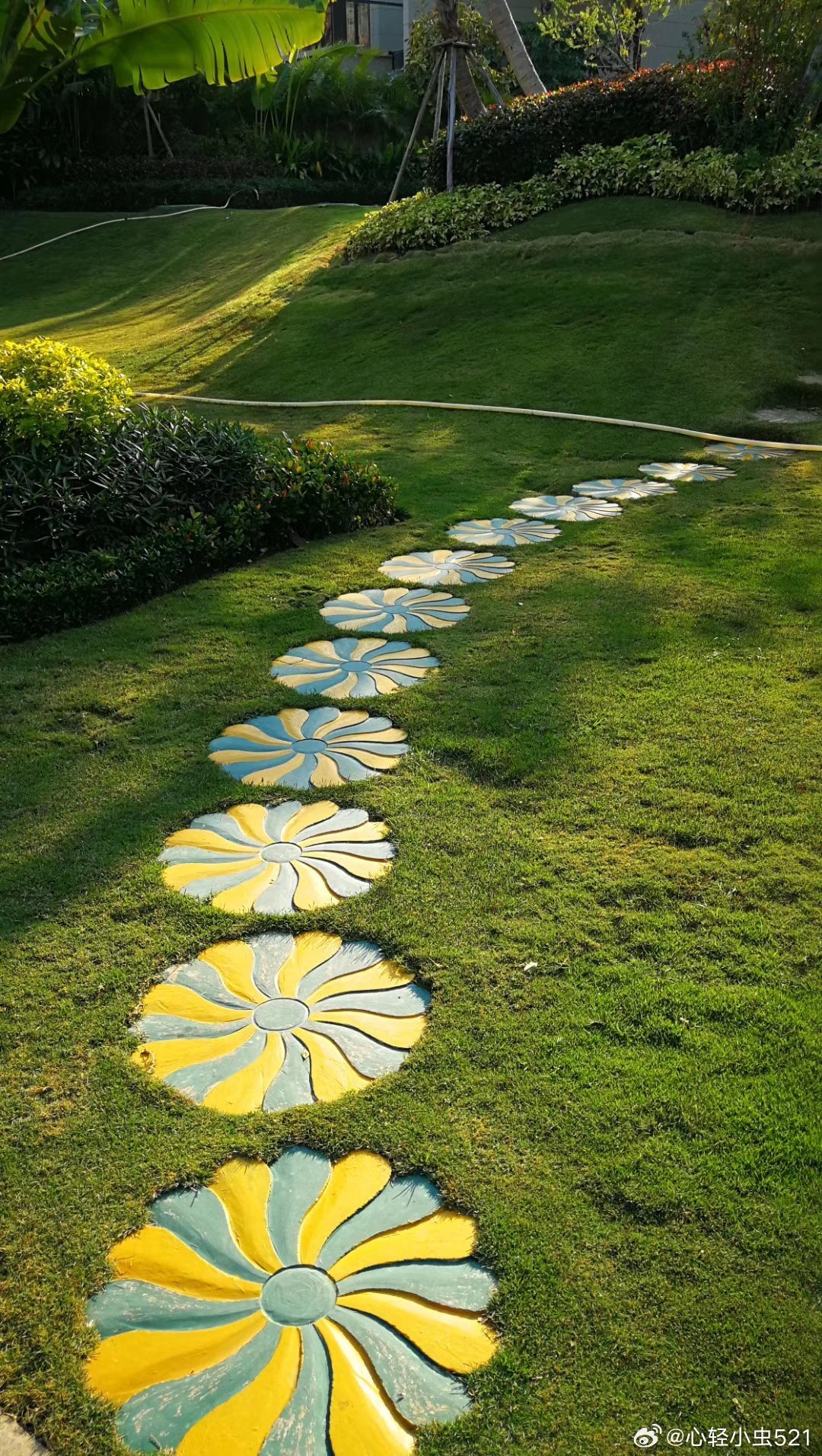 一颗开放、丰富、善感的心，恰似源泉，倘若再加上读书行路的补给，这一生不会枯萎了。