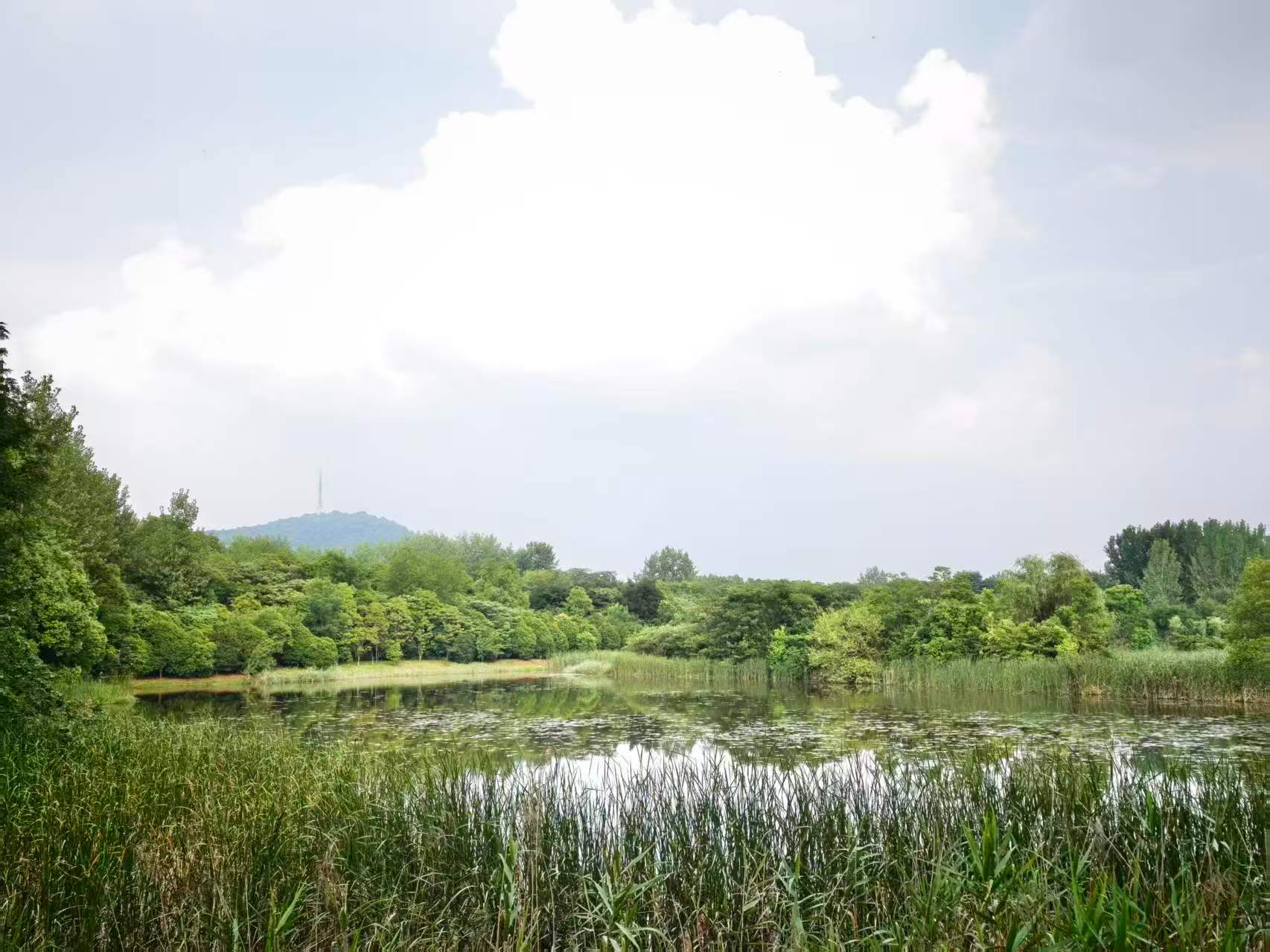 合肥大蜀山西扩公园完成综合提质改造合肥大蜀山西扩景区完成亮化、水利道路、便民步道