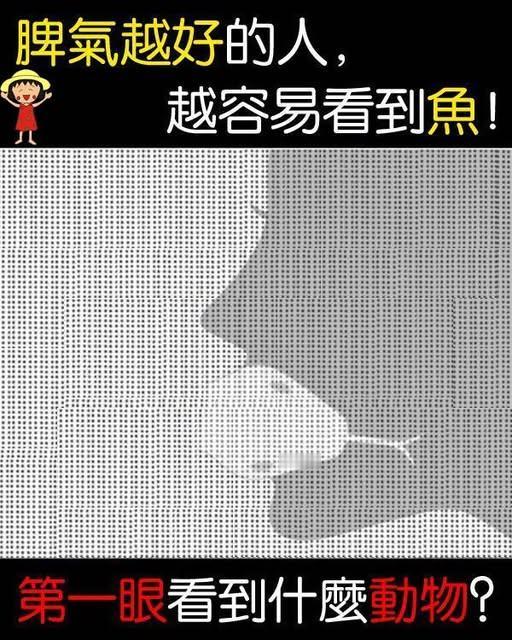 据说脾气越好的人，越容易看到鱼！第一眼看到什么动物