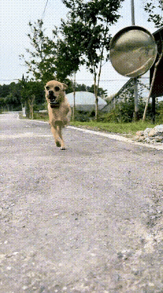 身残志不残