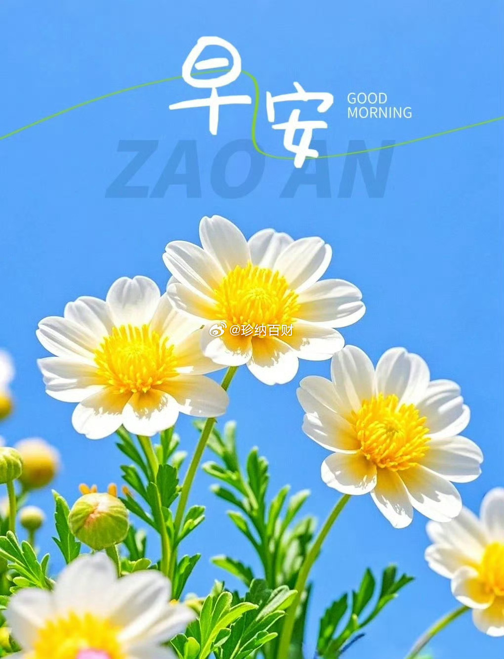 🌱不负春日好时光，且享周末闲逸情。愿大家放松身心，下周归来，财运亨通，盆满钵满