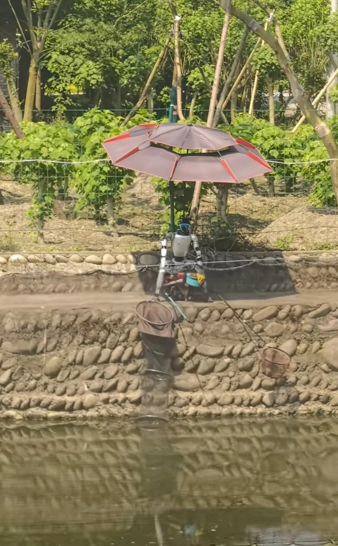 远处看以为是钓鱼佬，走近一瞧……