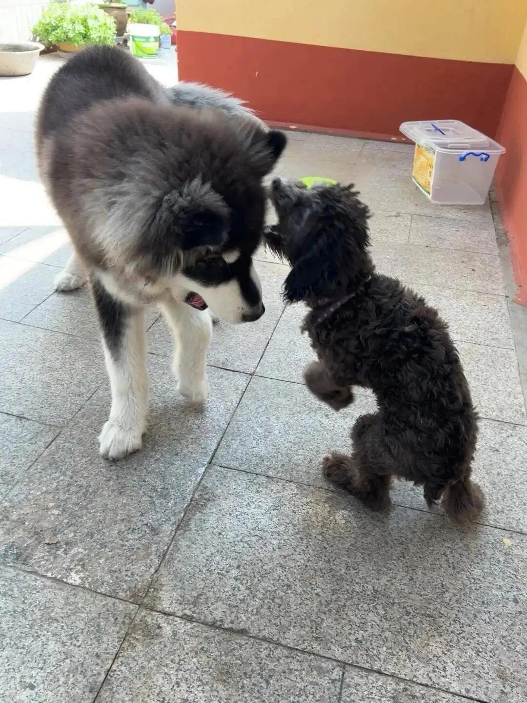 韩国总统办公室表示，若俄方向朝方提供高精度武器，那么作为回应韩国方面的军事援乌也