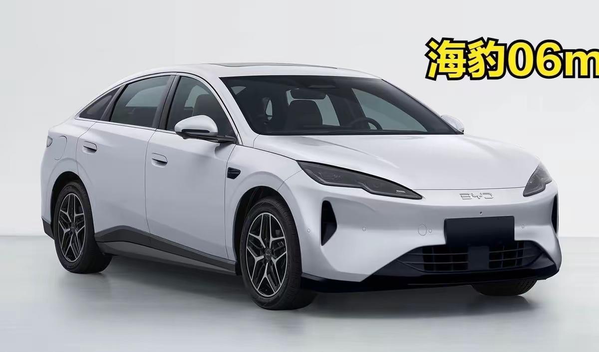 王传福最近一句话，把比亚迪的现状和野心都摊开了。他说，比亚迪