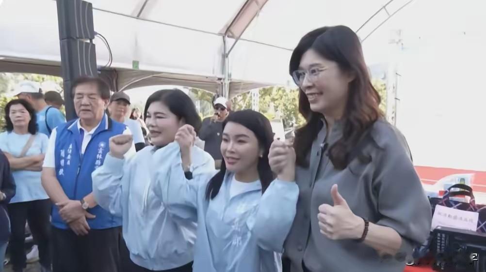 郑丽文说云林县由女人当家最安全，安字下面是个女，张丽善当家八年创下“五星级”好县